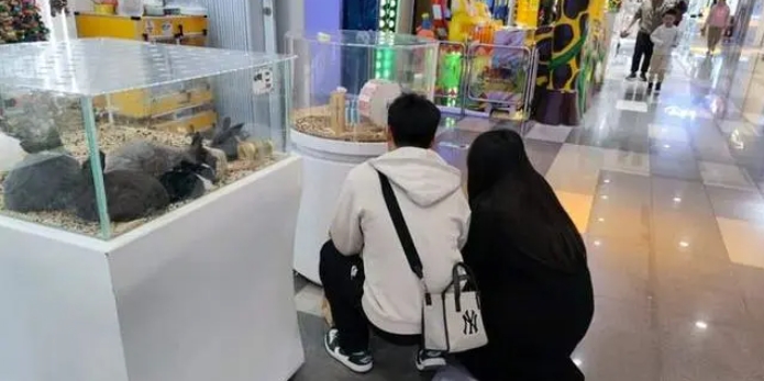 微信截圖_20241206154727.png
